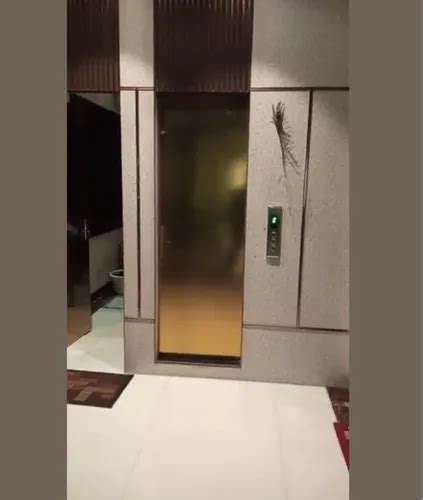 Hydraulic Lift - 4 Person Scenic Passenger Lift Service Service ...