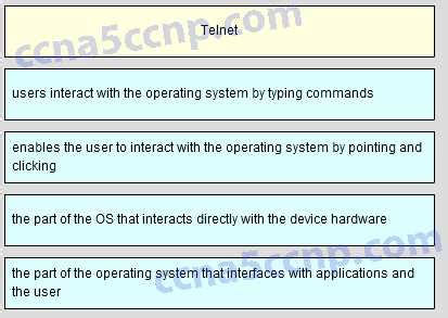 Image result for Cisco Python Final Test