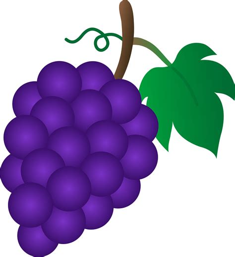 Bunch of grapes clipart - Clipground