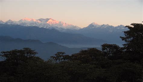 Sikkim Biodiversity Conservation and Forest Management Project