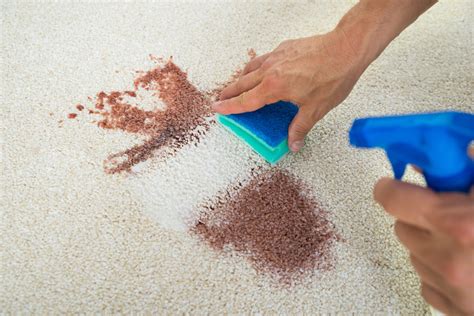 7 Tips for Removing Carpet Stains from the Pros