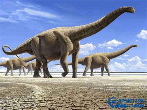 古代地球上最著名的10大恐龙排行榜_排行榜123网