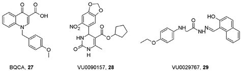 Allosteric Modulation of Muscarinic Acetylcholine Receptors