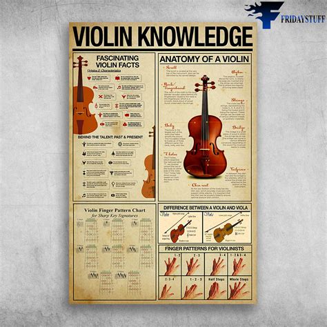 Facts About Violin