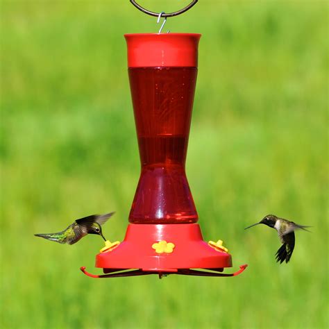 Amazon.com : Perky-Pet 410P Pinch Waist Plastic Hummingbird Feeder, 16 ...