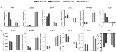 Phenotypic, Physiological, and Transcriptomic Analyses Reveal Different ...