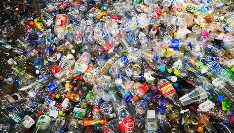 PET塑料瓶回收：如何做？为什么？ | Nestlé