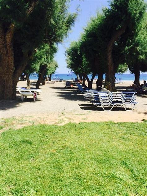 STAFILIA BEACH HOTEL (Kiotari, Rhodes) - Inn Reviews, Photos, Rate ...