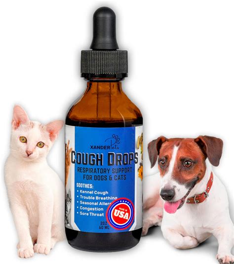 Amazon.com : Everpath New & Improved Natural Sinus Support for Dogs ...