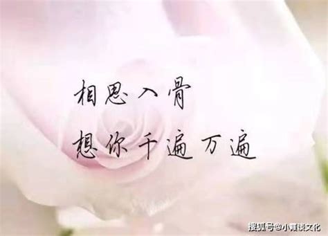 名字24画的人命运(名字20画是什么命运)-吉日-土灵吉日