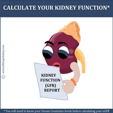 Glomerular Filtration Rate (GFR) - All Things Kidney ~ Official