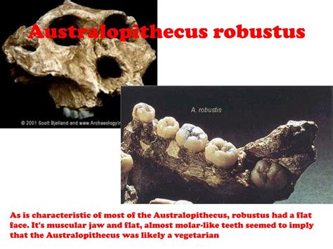 Evolution of Humankind 的图像结果
