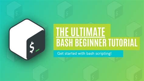 Bash Commands Tutorial 的图像结果