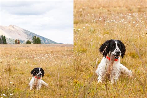 Image result for Resolution in Ai Java