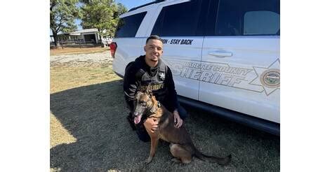 Sheriff's Office receives K-9 vest grant (10/28/2024) - Press Releases ...