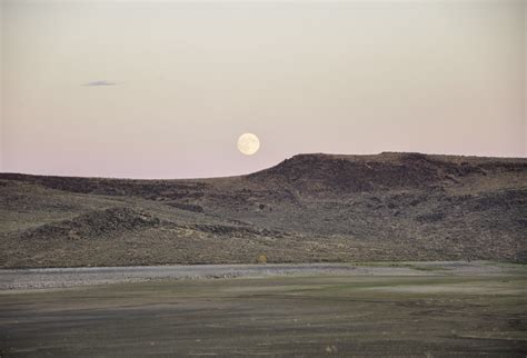 Dammit, Idaho! – GoGoTacoNegro