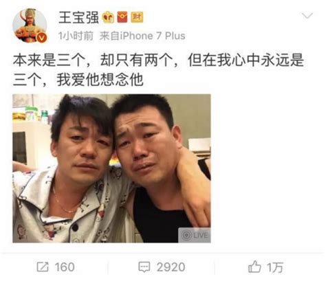王宝强弟弟意外去世，他为了圆梦拍电影，晒练武视频却被网友骂惨_腾讯新闻