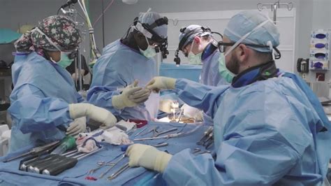 Image result for Flex Bone Matrix