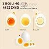 Buy Borosil Electric Plus Egg Boiler with Poaching Tray, Boil Upto 8 ...