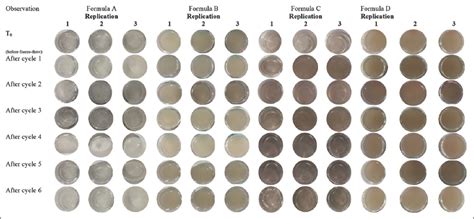 Plantago major synthesized silver nanoparticles in an anti-acne facial ...