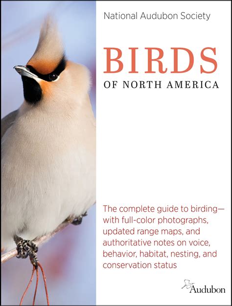 National Audubon Society Birds of North America (National Audubon ...