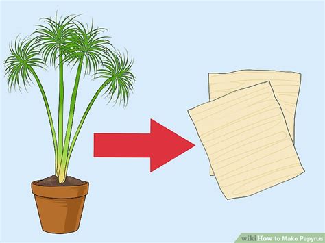 Image result for How Was Papyrus Made