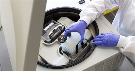 Microbiology 的图像结果