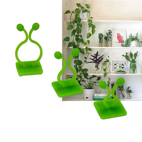 150pcs Wall Mounted Clips For Climbing Plants Indoor Plants Climbing ...
