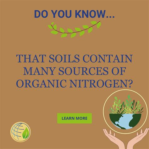 Did you know that soils contain many sources of organic nitrogen? 🌱 🌾 For a long time, it was ...