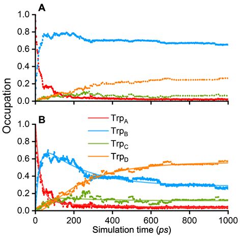 Activation of Cryptochrome 4 from Atlantic Herring