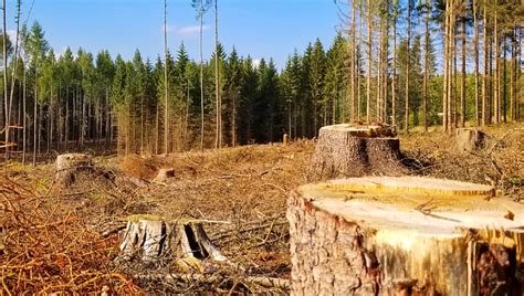 Draft EIA Notification 2020: Whose Interests Does it Secure? | NewsClick