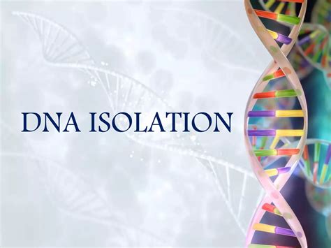 DNA Isolation Animation 的图像结果