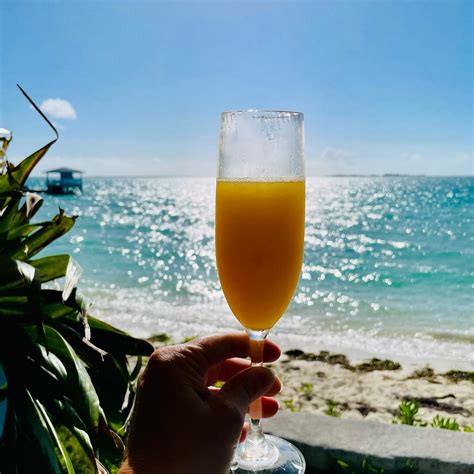 Lisa Mallett, Niagara Falls Canada based Travel Advisor | Cheers to a ...