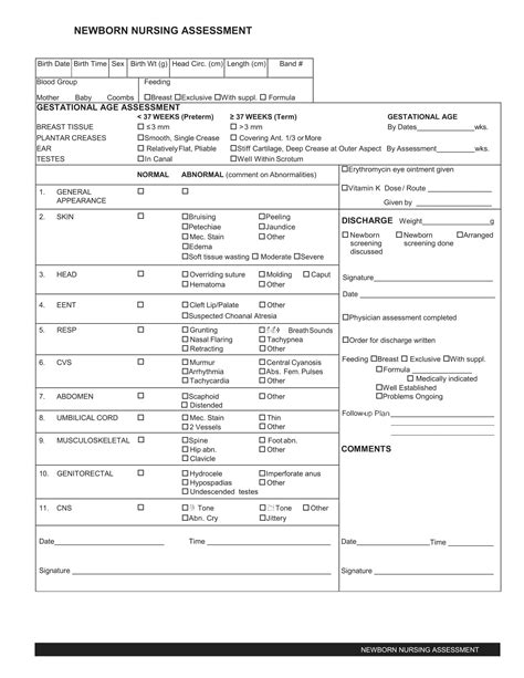 Free Printable Nursing Assessment Form Templates [PDF, Word]