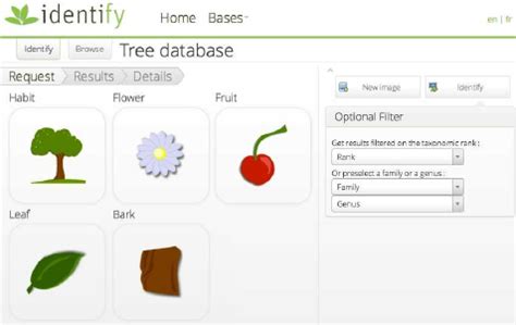Image result for SQL Query User Interface