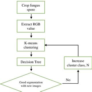 Explain Machine Learning 的图像结果