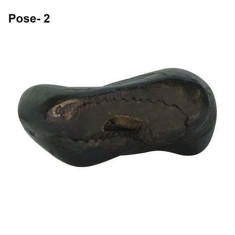 Varaha Mukh Shaligram Stone Buy online