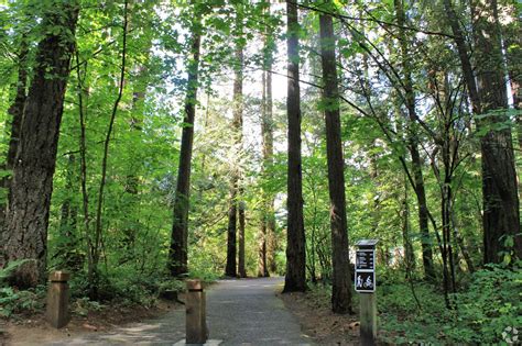 Ella Baker Elementary School in Redmond, WA - Homes.com