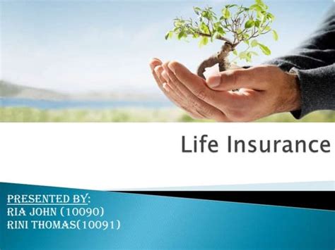 Image result for Project On Insurance Class 11