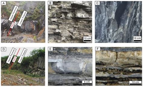 Characteristics of Calcium Isotopes at Different Water Depths and Their ...