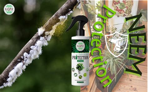 Hasper Plant Guard – Ready to Use (250 ml x 2) Neem Oil for Plants ...