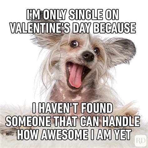 Valentine's Day 2022 Jokes, Funny Memes, Images, Quotes for Singles ...
