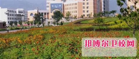 山东万杰医学院2024年报名条件、招生要求、招生对象_邦博尔卫校网