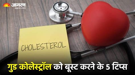 क्‍या होता है Good Cholesterol? हार्ट ड‍िजीज से बचने के ल‍िए इन तरीकों ...