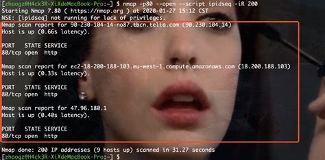 NetBox and Nmap 的图像结果