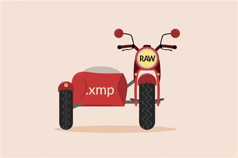 Image result for How to Open XMP Files