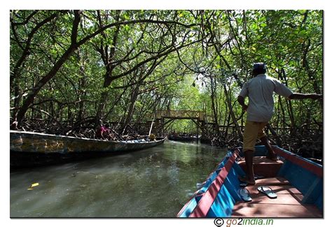 go2india.in : Boat journey at Bay to reach limestone caves at Baratang ...