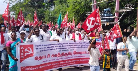 Hit by Rain: TN Farmers Seek Compensation for Crop Damage and Cattle ...