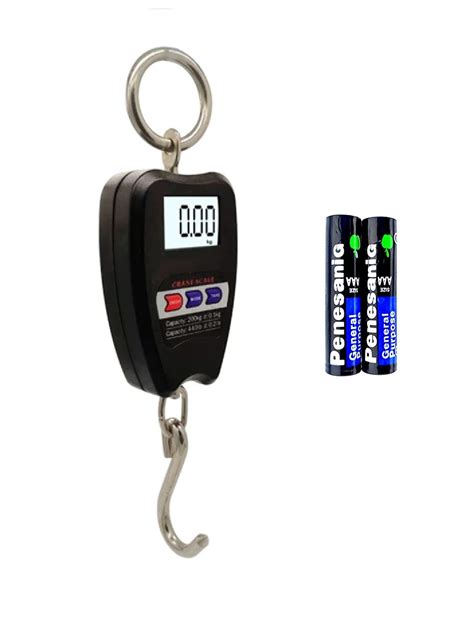 Mini Crane Scale 200kg Digital Hanging Scale, Weighing Scale - Hanging ...