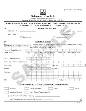 Piped Natural Gas Connection Application - Fill Out, Sign & Share ...